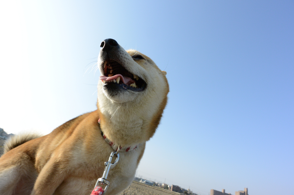 気持ちいいねぇ~~