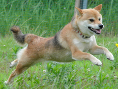 うらめしや～