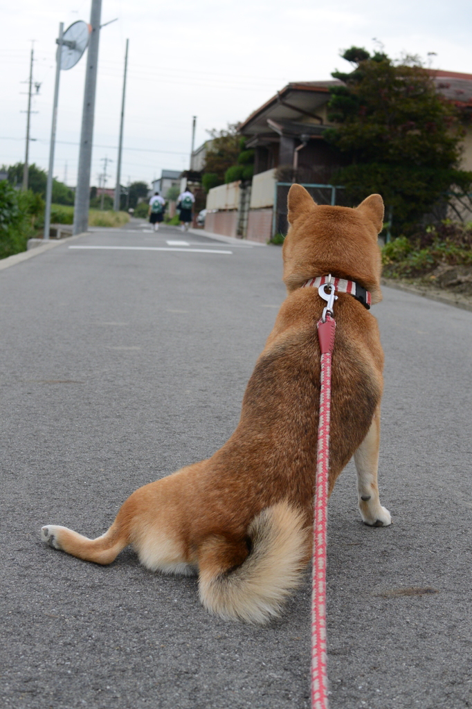 行っちゃった・・・