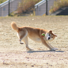 ハズレ