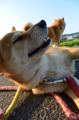 あ~気持ちいい~