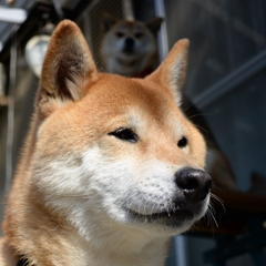 心霊写真？