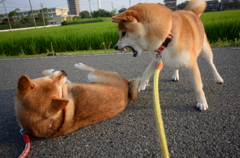 立て~