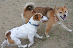 なんとかして～