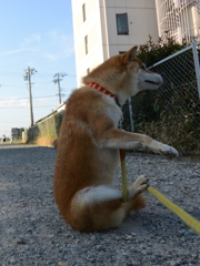 お・お座り？