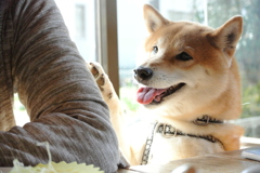 ねぇ…