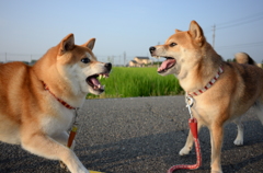 うるさい！