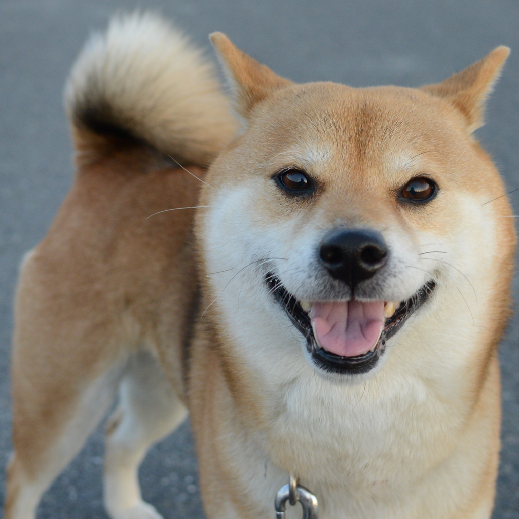 あ～すっきりした～