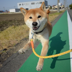 飛んでま~す
