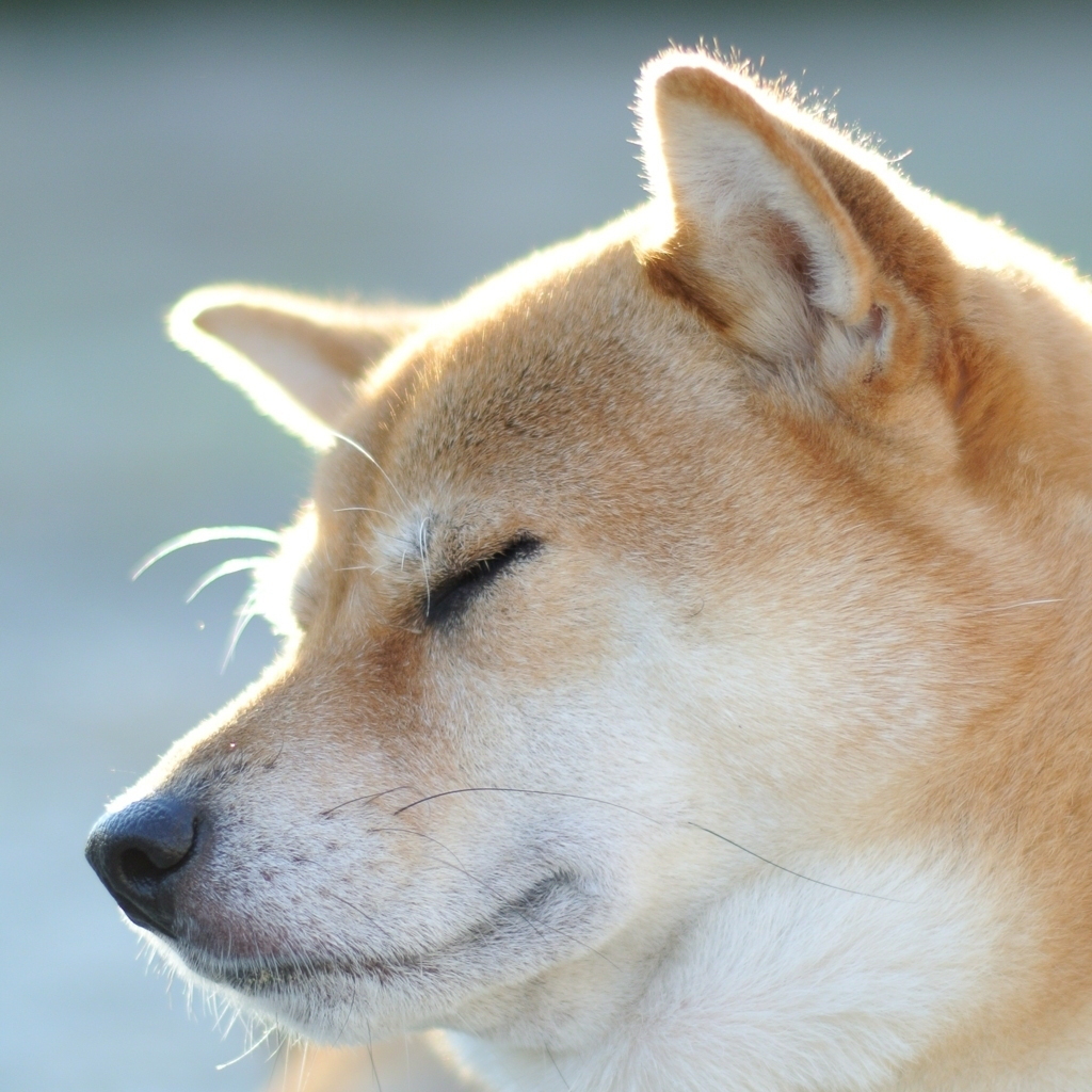 気持ちの良い朝