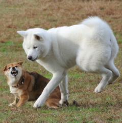 踏むな！