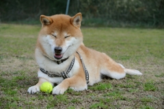 ご満悦