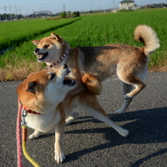 女同士は怖い2