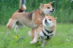 我に返る
