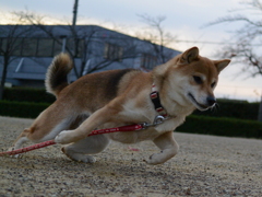 ゴールキーパー２