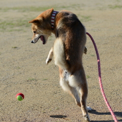 まて！