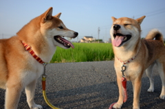 一休み