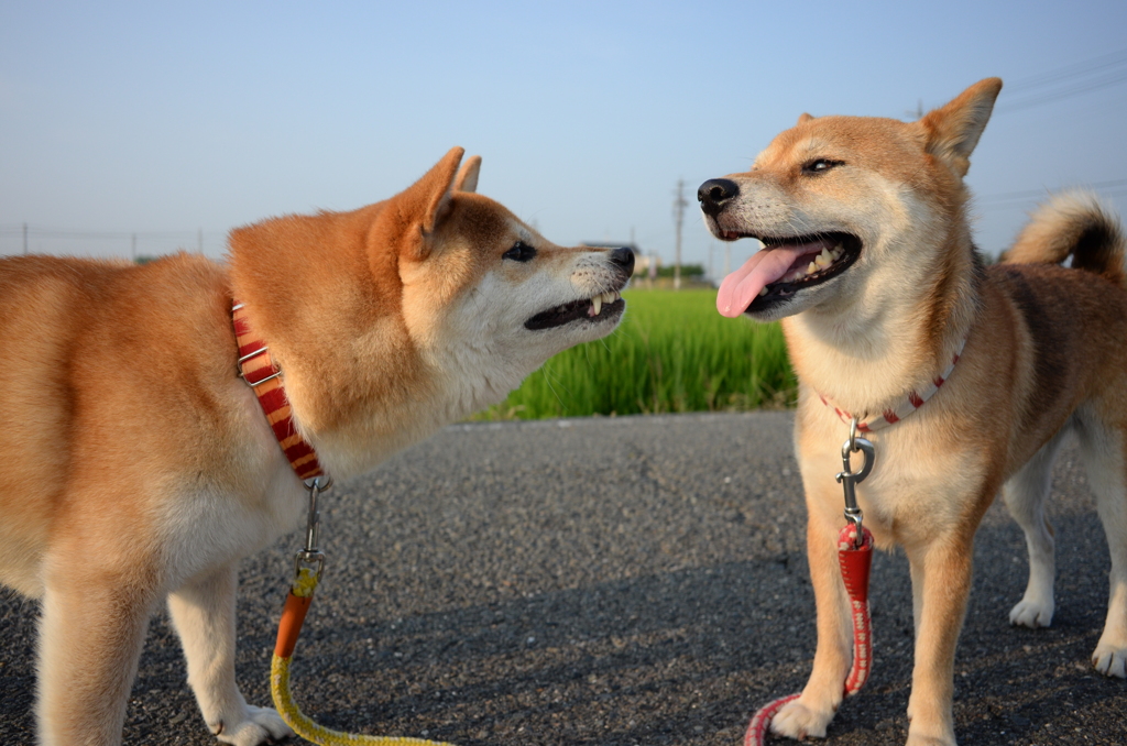 もっと遊ぼ！