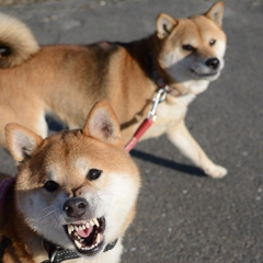 もっと遊ぼうよ～