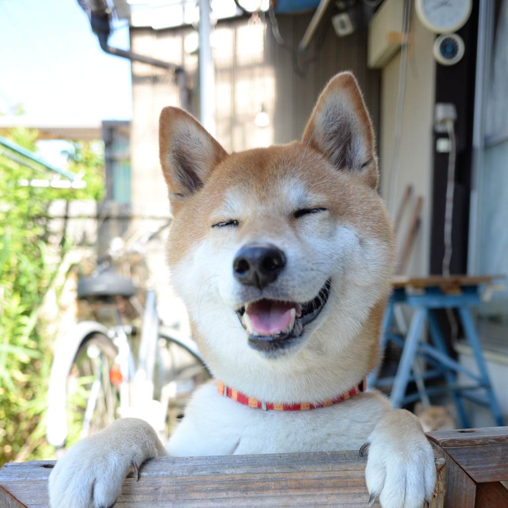 良い湯だな~