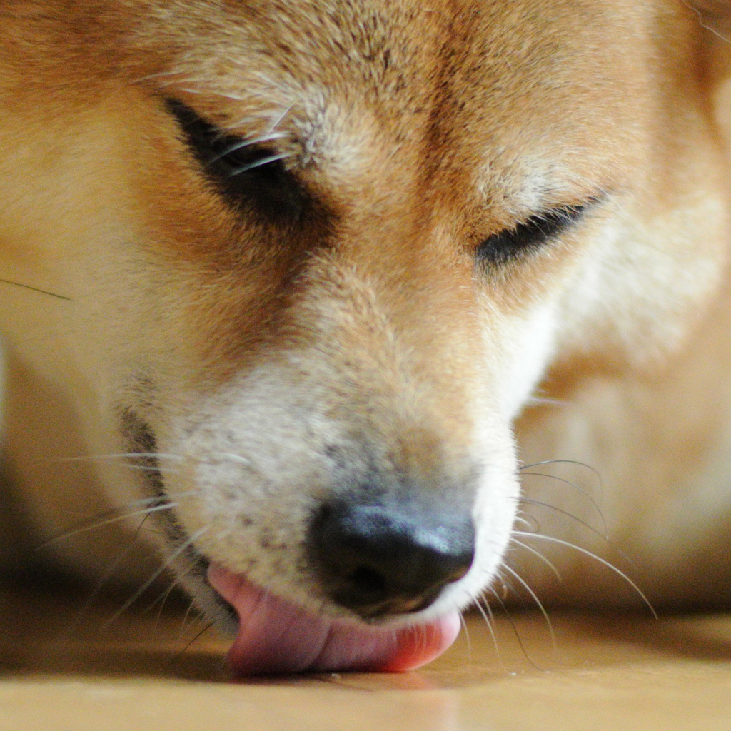 なくなっちゃった・・・