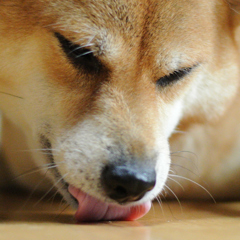なくなっちゃった・・・