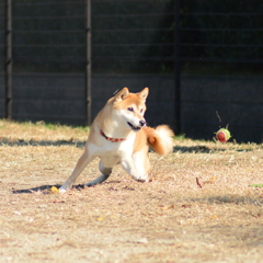狙いをつけて・・・