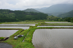 日本の原風景。