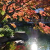 紅葉と池