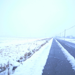 柔雪