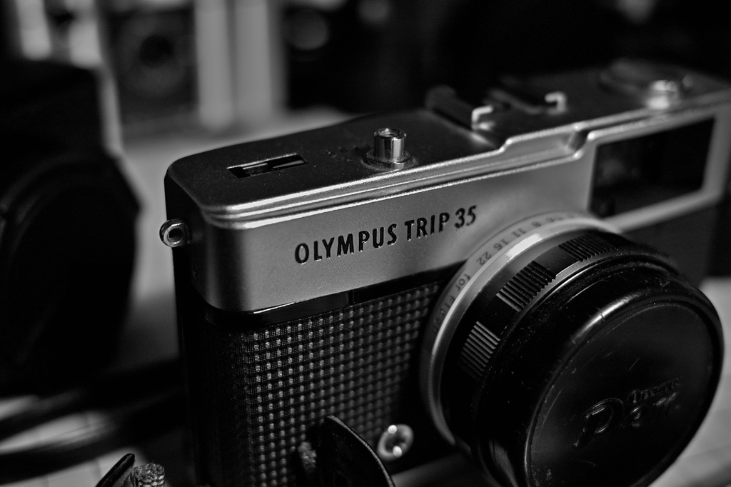 TRIP
