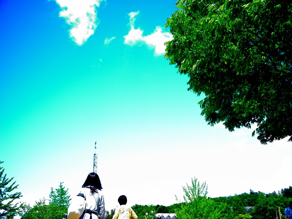 HI‐KING
