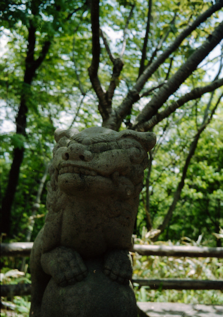 山の上で待ってます