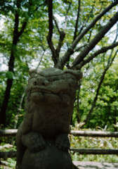 山の上で待ってます