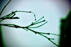 影滴