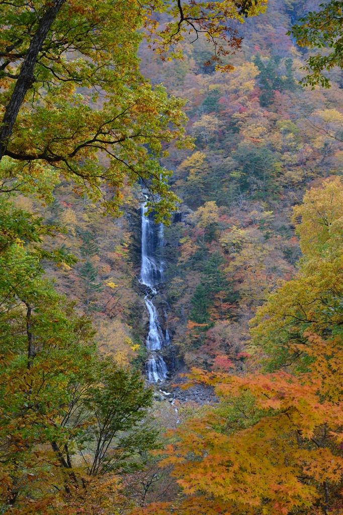 紅葉の額縁