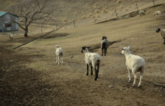 見つめる先にあるものは？