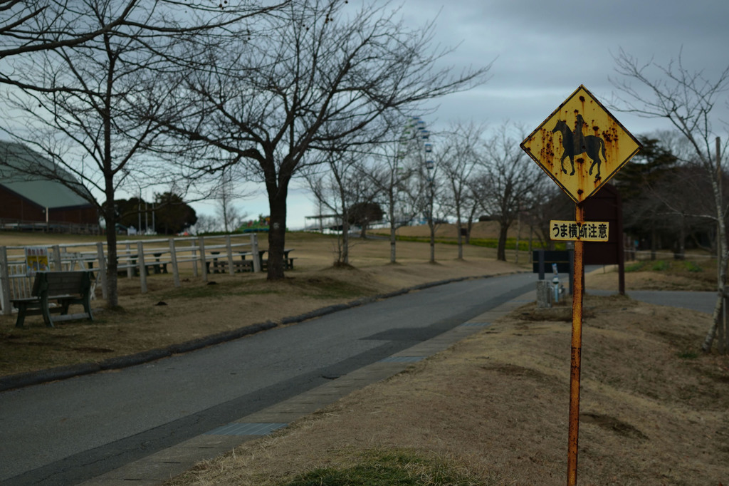 うま横断注意