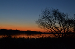 印旛沼－夕景－