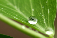 雨の日の愉しみ