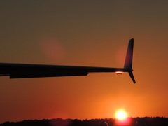 夕陽に照らされて