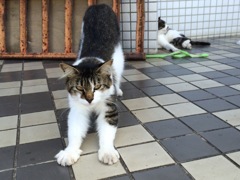 伸び伸び    2