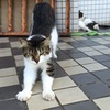 伸び伸び    2