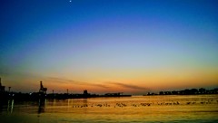 夕焼け