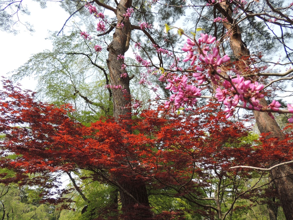 角館    四季ならぬ、三季をイメージする光景