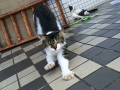 伸び伸び