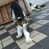 伸び伸び