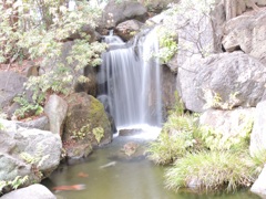 日本庭園