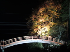 養老渓谷