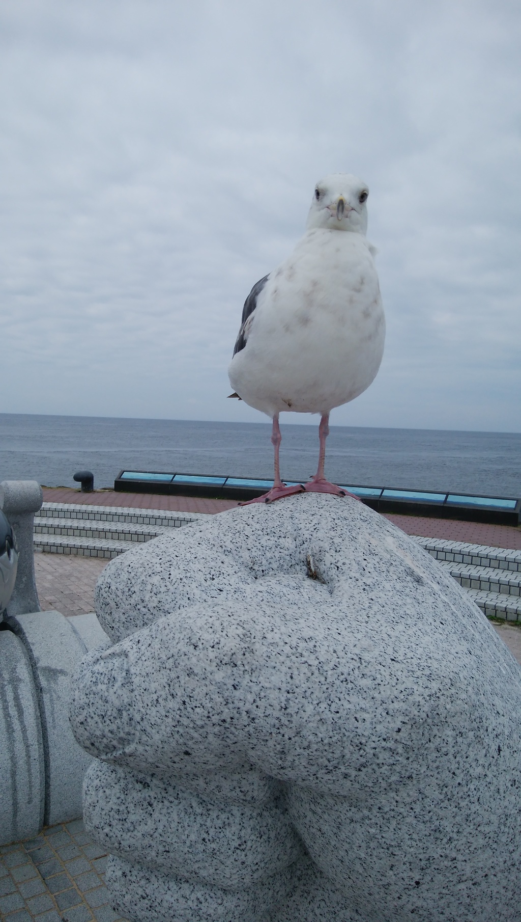 カメラ目線